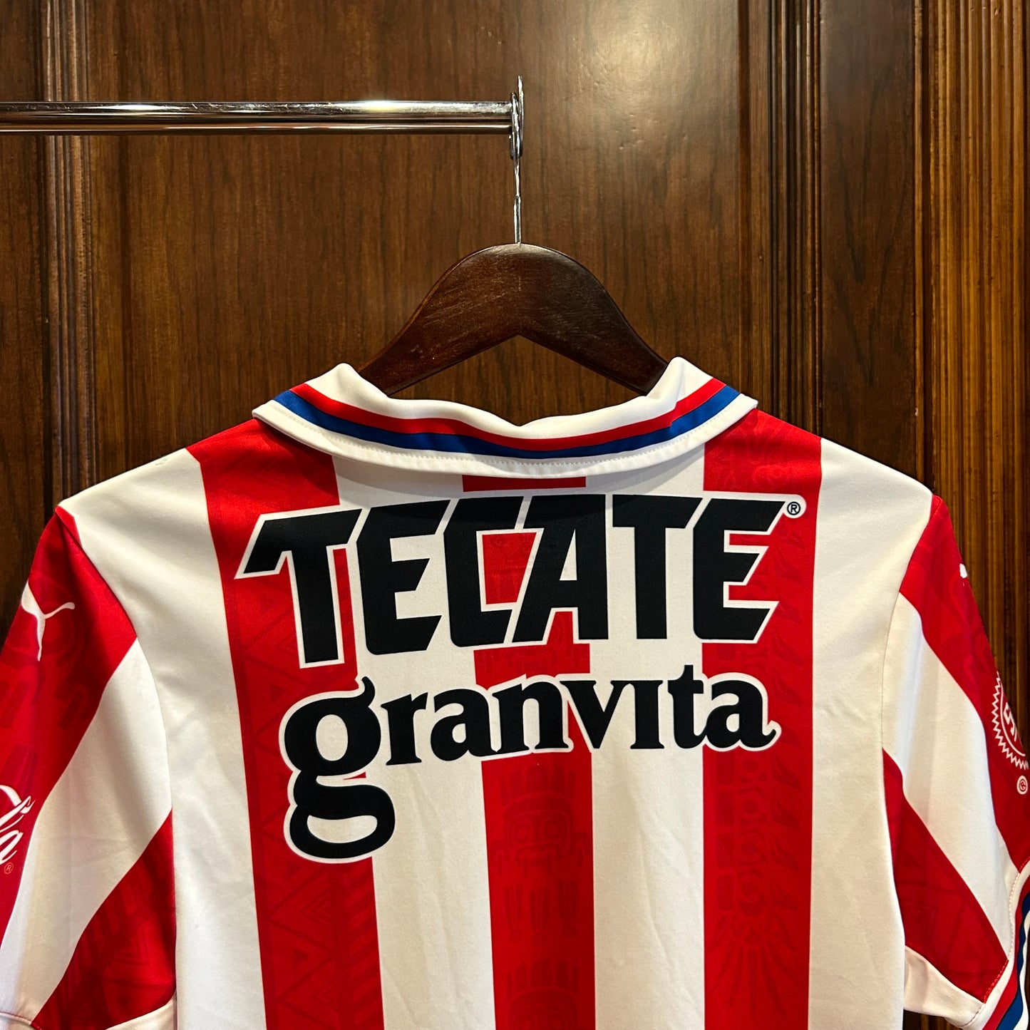 Chivas Guadalajara Home Jersey 2324