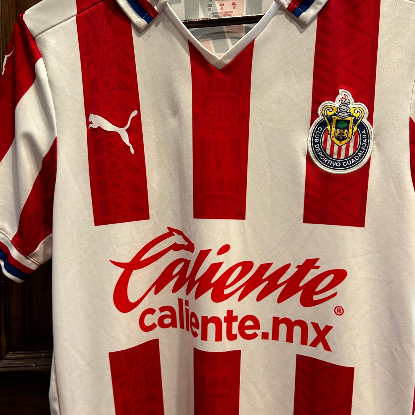 Chivas Guadalajara Home Jersey 2324