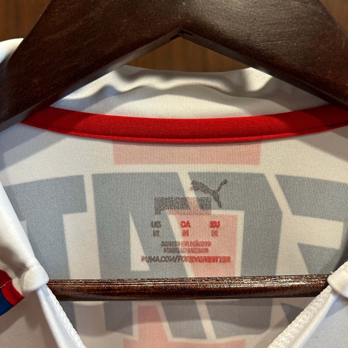 Chivas Guadalajara Home Jersey 2324
