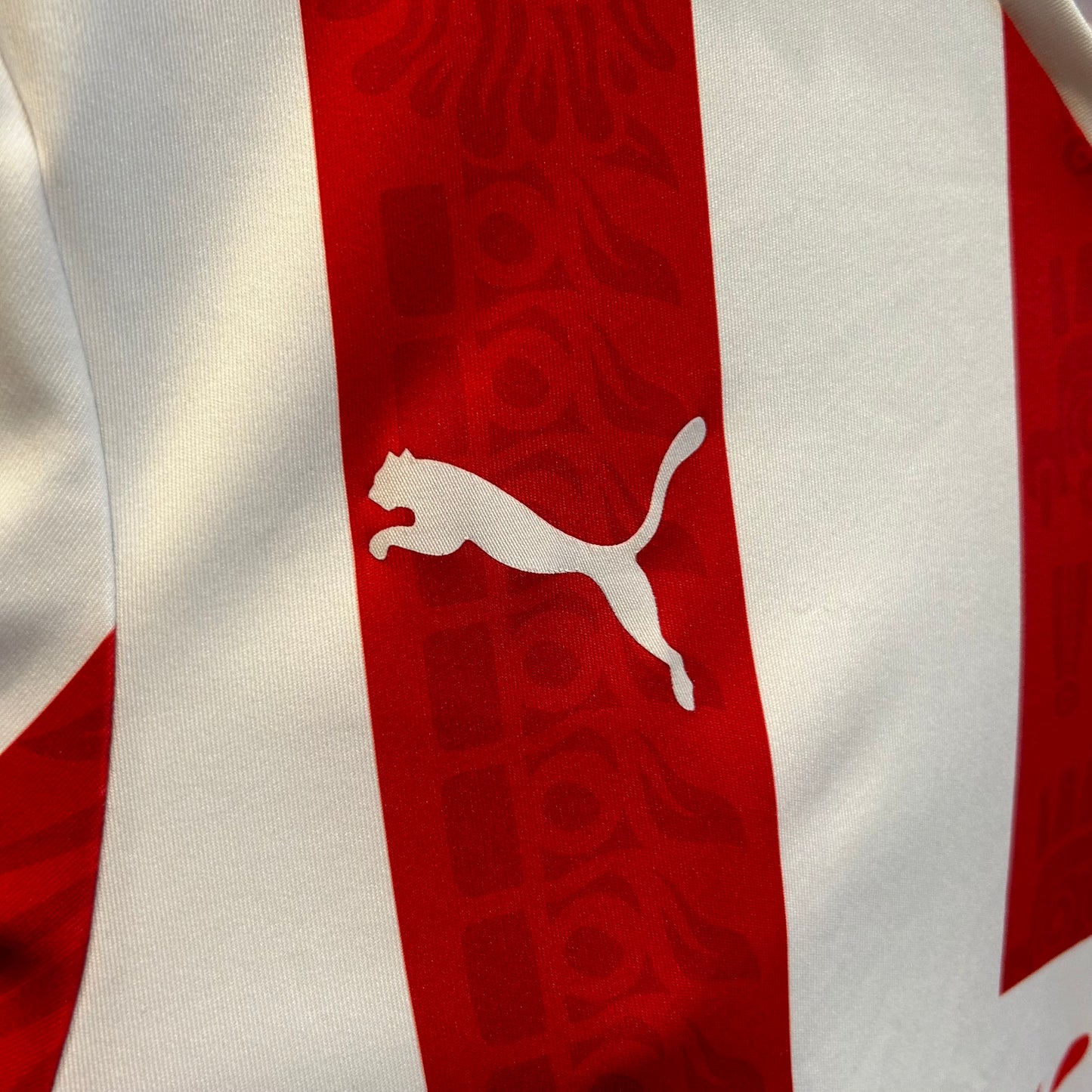 Chivas Guadalajara Home Jersey 2324